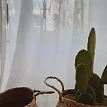 Apartment Angoli Di Pace - Trilocale Muralto
